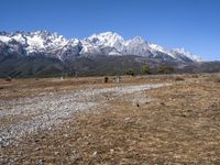 China's Highland Track: Off-Road Adventure in Nature