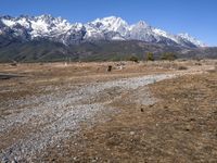 China's Highland Track: Off-Road Adventure in Nature