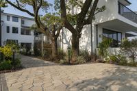 China's Sleek Residential Facade: Tree Branches and Modern Design