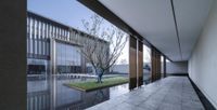 a very long building with glass on both sides and a small tree in the center of the room