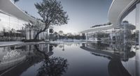 reflection of trees in puddle at outdoor hotel lobby in city landscaped area of modern buildings