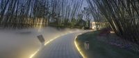 walkway in a tropical setting with tall bamboo trees and flowers in the background at night