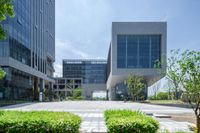 an image of a walkway between two buildings and greenery area of some sort with a tree