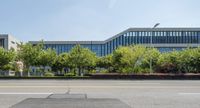 empty street with a blue glass office building with tree line on side of it that is beside sidewalk and roadway