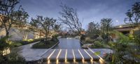 outdoor pathway at night with trees and water feature light effects that resemble beams of light