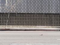 City Architecture: Daylight Urban View