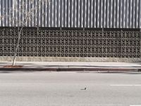 City Architecture: Daylight Urban View