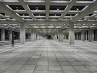 City Architecture: Hall of Light and Ceiling Fixture