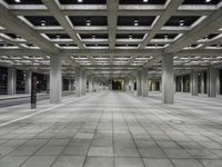 City Architecture: Hall of Light and Ceiling Fixture