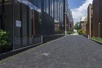 brick pavement along two buildings along with trees, shrubs and sky in background in daytime