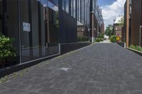 brick pavement along two buildings along with trees, shrubs and sky in background in daytime