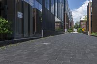 brick pavement along two buildings along with trees, shrubs and sky in background in daytime