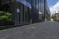 brick pavement along two buildings along with trees, shrubs and sky in background in daytime