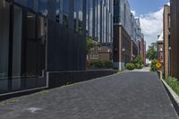 brick pavement along two buildings along with trees, shrubs and sky in background in daytime