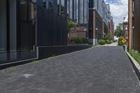 brick pavement along two buildings along with trees, shrubs and sky in background in daytime