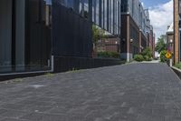 brick pavement along two buildings along with trees, shrubs and sky in background in daytime