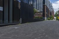 brick pavement along two buildings along with trees, shrubs and sky in background in daytime