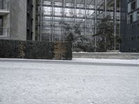 City Building: Grey Facade in Black and White