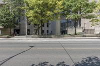 this is a parking meter in front of the city building on a street corner with trees, benches and parking meters