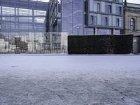 an outdoor courtyard covered with snow and ice, next to two buildings and a hedge