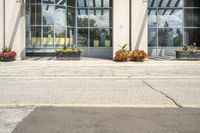 people cross the street in front of an entrance to the city court building, with potted flower plants lining either side of the entry way