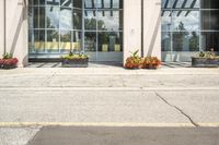 people cross the street in front of an entrance to the city court building, with potted flower plants lining either side of the entry way