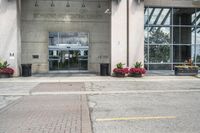 people cross the street in front of an entrance to the city court building, with potted flower plants lining either side of the entry way