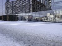 glass building with several buildings next to it in the snow of winter time in front of a tree and some bushes on the sidewalk