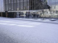 glass building with several buildings next to it in the snow of winter time in front of a tree and some bushes on the sidewalk