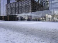 glass building with several buildings next to it in the snow of winter time in front of a tree and some bushes on the sidewalk