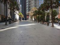 an empty city sidewalk lined with buildings and trees on either side of it, palm trees at the far end of the road