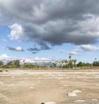 a lone elephant walking across a field in a dry desert with trees behind it and a cloudy sky