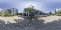 a 360 - view lensed image shows a building on the street and trees on the side