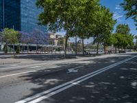 a wide empty street lined with trees and buildings in the background near the oceanfront