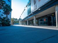 a skateboard parked in front of an empty store next to palm trees and a sidewalk