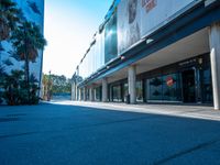 a skateboard parked in front of an empty store next to palm trees and a sidewalk