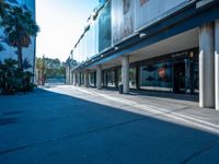 a skateboard parked in front of an empty store next to palm trees and a sidewalk