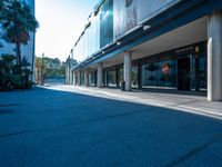 a skateboard parked in front of an empty store next to palm trees and a sidewalk