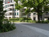 a park bench in the middle of the street between trees and buildings on a sunny day