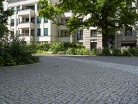 a park bench in the middle of the street between trees and buildings on a sunny day