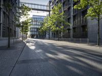 City Life in Berlin: Architecture and Shadows