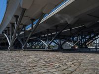 City Life in Berlin: The Blend of Urban and Open Spaces