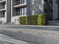 a couple of bicycles are parked on the sidewalk outside a building that has green plants