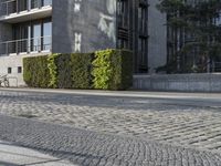 a couple of bicycles are parked on the sidewalk outside a building that has green plants