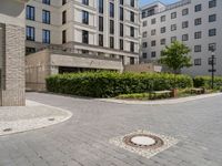 a street with multiple bushes surrounding an area for parking in a city area with cobblestone floors