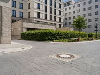 a street with multiple bushes surrounding an area for parking in a city area with cobblestone floors