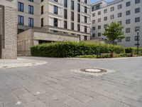 a street with multiple bushes surrounding an area for parking in a city area with cobblestone floors