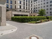 a street with multiple bushes surrounding an area for parking in a city area with cobblestone floors