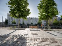 a park bench on the pavement with buildings and trees in the background on a sunny day