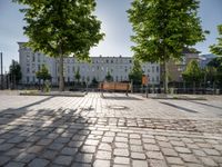 a park bench on the pavement with buildings and trees in the background on a sunny day